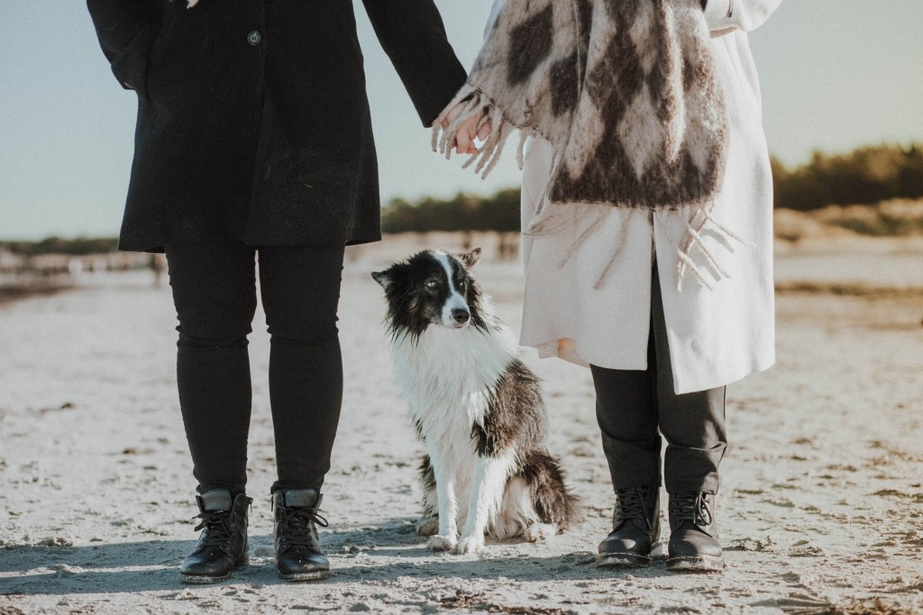 Fotobox & Fotografie Erfurt - Daniela Tapliuc - Fotografie vom Hund - Hundefotoshooting - Familienfotoshooting mit Hund