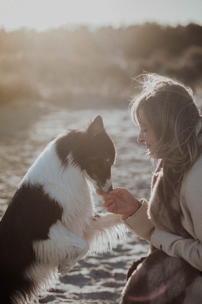 Fotobox & Fotografie Erfurt - Daniela Tapliuc - Fotografie vom Hund - Hundefotoshooting - Familienfotoshooting mit Hund