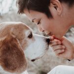 Fotobox & Fotografie Erfurt - Daniela Tapliuc - Fotografie vom Hund - Hundefotoshooting - Familienfotoshooting mit Hund