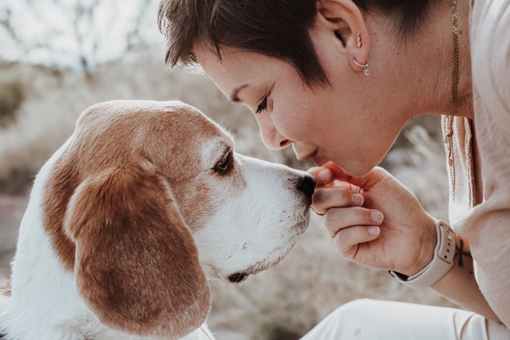 Fotobox & Fotografie Erfurt - Daniela Tapliuc - Fotografie vom Hund - Hundefotoshooting - Familienfotoshooting mit Hund