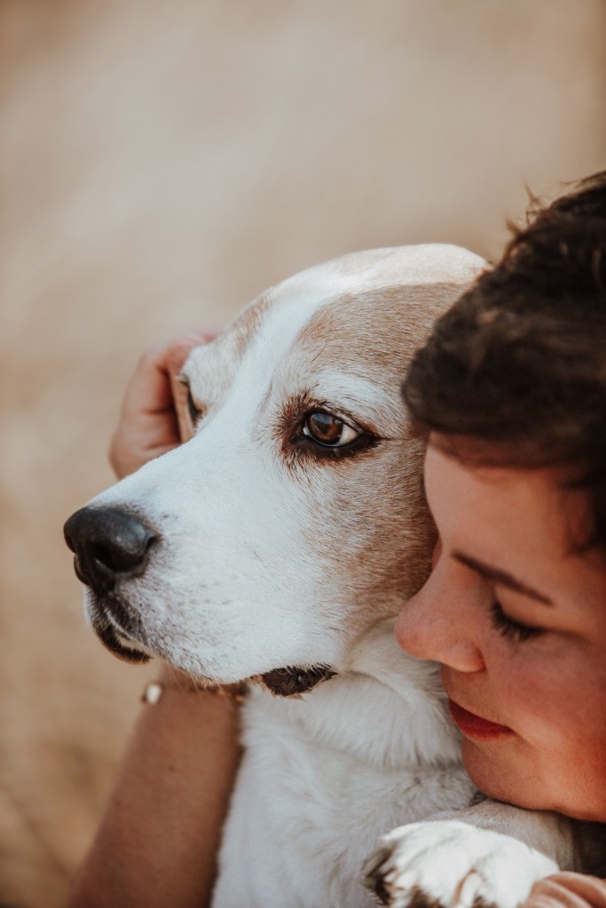 Fotobox & Fotografie Erfurt - Daniela Tapliuc - Fotografie vom Hund - Hundefotoshooting - Familienfotoshooting mit Hund