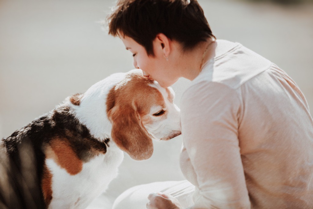 Fotobox & Fotografie Erfurt - Daniela Tapliuc - Fotografie vom Hund - Hundefotoshooting - Familienfotoshooting mit Hund