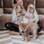 Fotobox & Fotografie Erfurt - Daniela Tapliuc - Fotografie vom Hund - Hundefotoshooting - Familienfotoshooting mit Hund