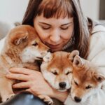 Fotobox & Fotografie Erfurt - Daniela Tapliuc - Fotografie vom Hund - Hundefotoshooting - Familienfotoshooting mit Hund