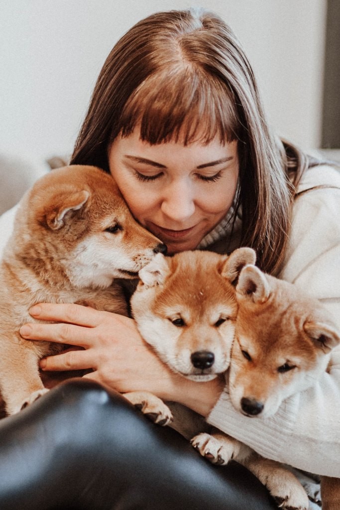 Fotobox & Fotografie Erfurt - Daniela Tapliuc - Fotografie vom Hund - Hundefotoshooting - Familienfotoshooting mit Hund