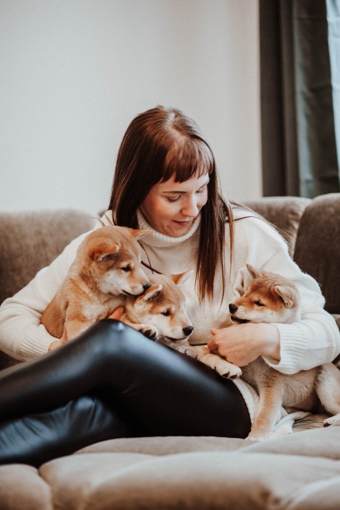 Fotobox & Fotografie Erfurt - Daniela Tapliuc - Fotografie vom Hund - Hundefotoshooting - Familienfotoshooting mit Hund