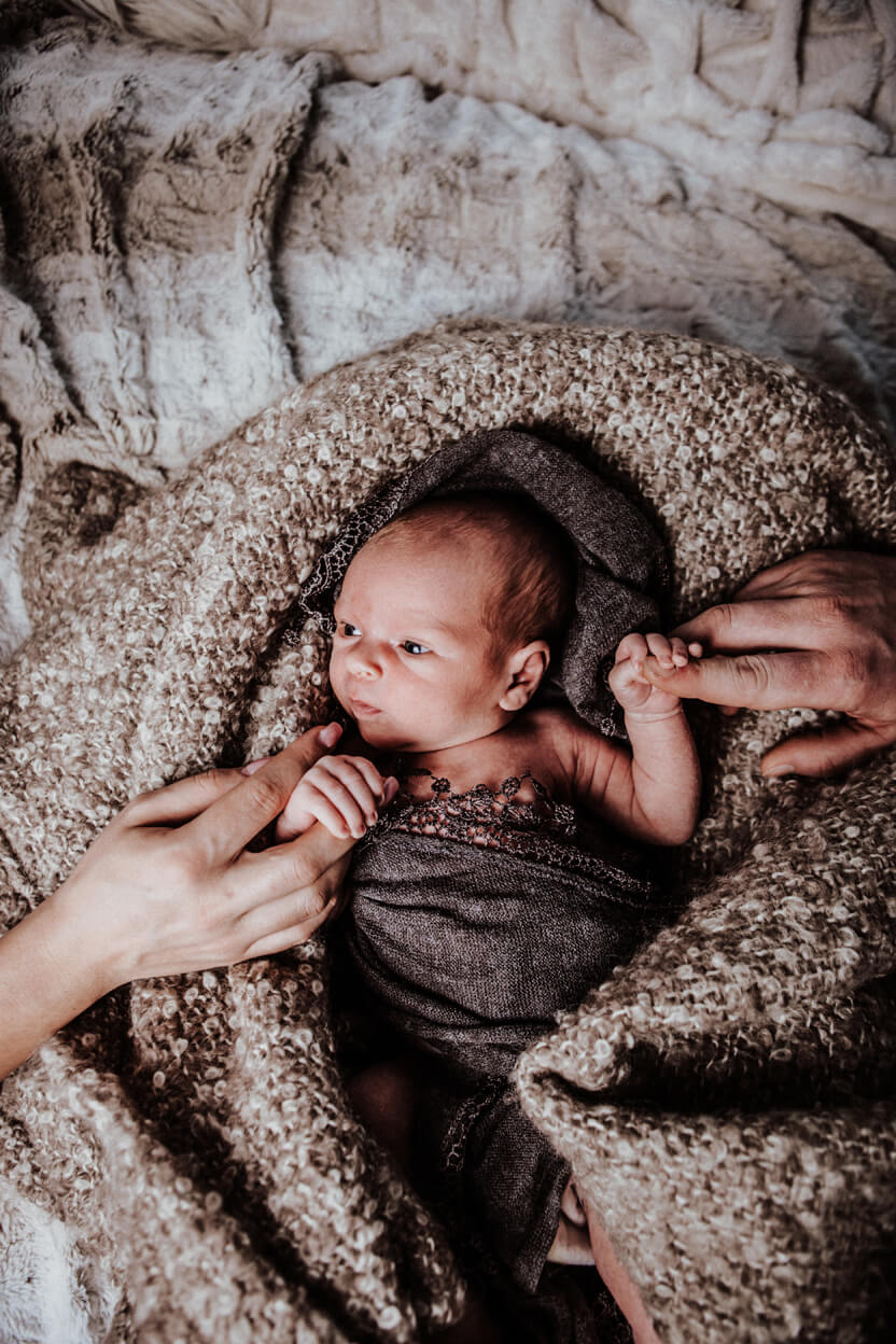 Fotobox Erfurt - Daniela Tapliuc - Newborn-Shooting - Babyfotografie - Familienfotografie
